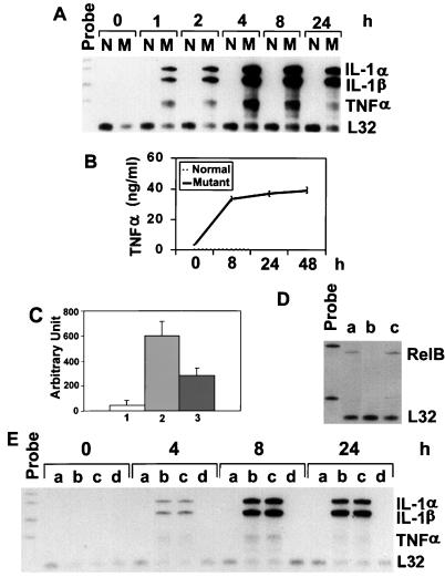 FIG. 1