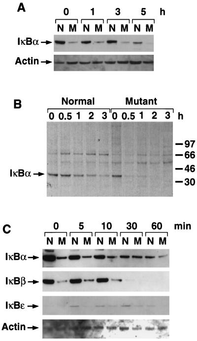 FIG. 3