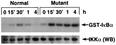 FIG. 7