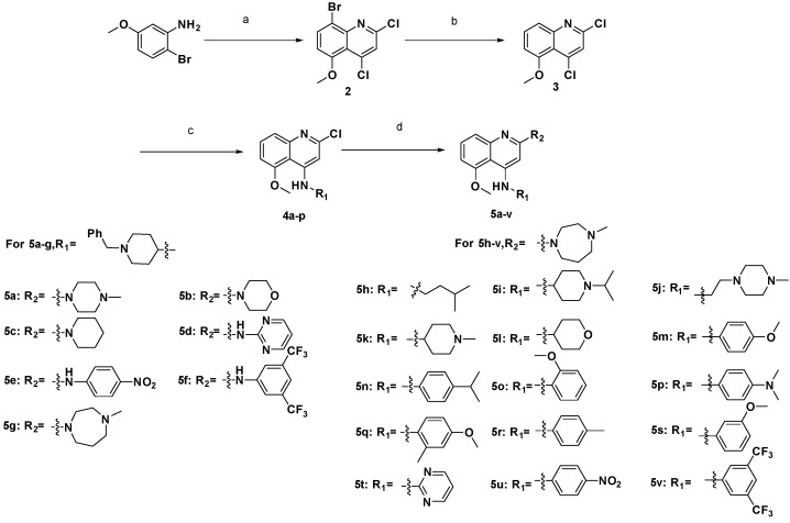 Scheme 1