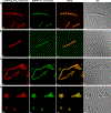 Figure 5.