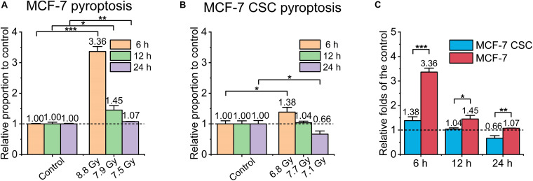 FIGURE 4