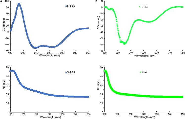 Figure 3