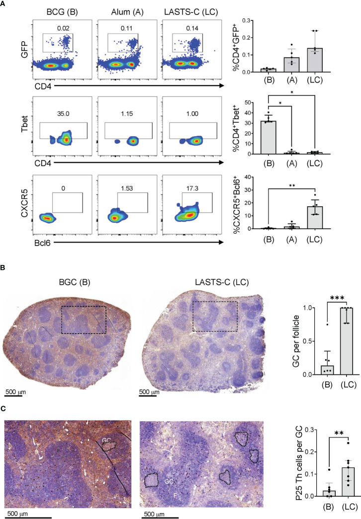 Figure 6