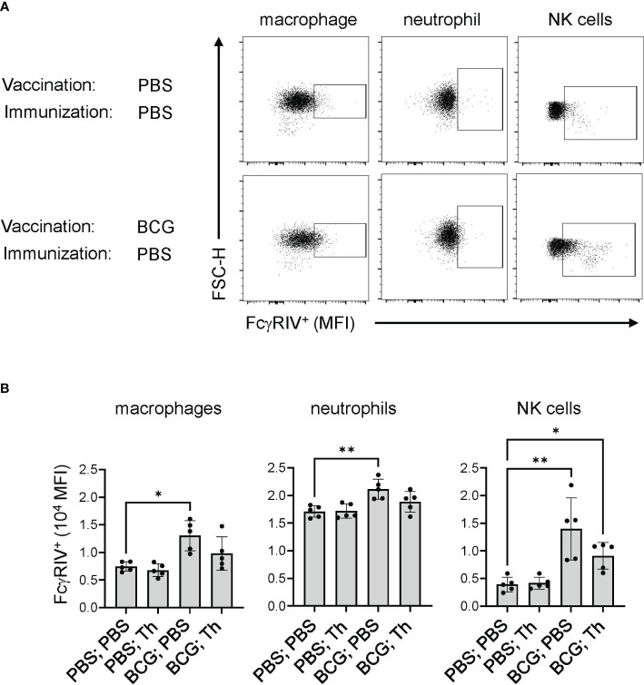 Figure 4