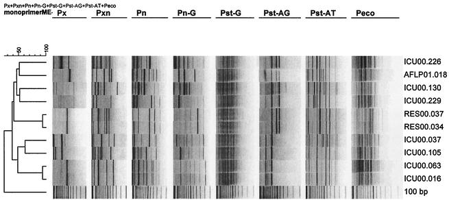 FIG. 2.