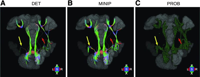 FIG. 2.