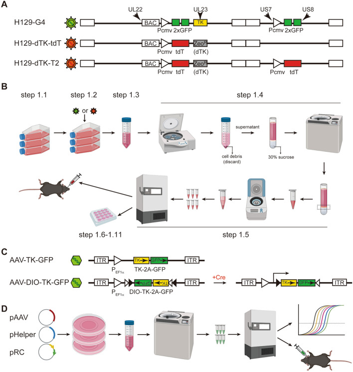 Fig. 1