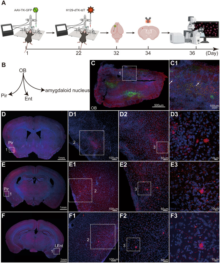 Fig. 4