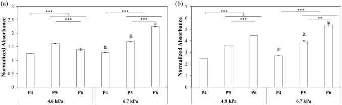 Fig. 5