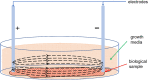Fig. 9