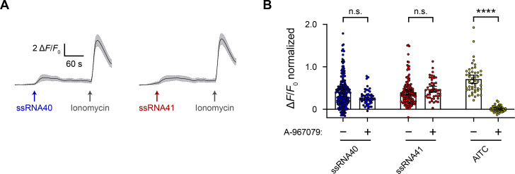 Figure 6—figure supplement 1.