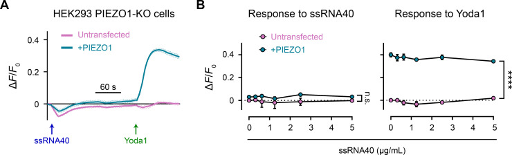 Figure 2—figure supplement 1.