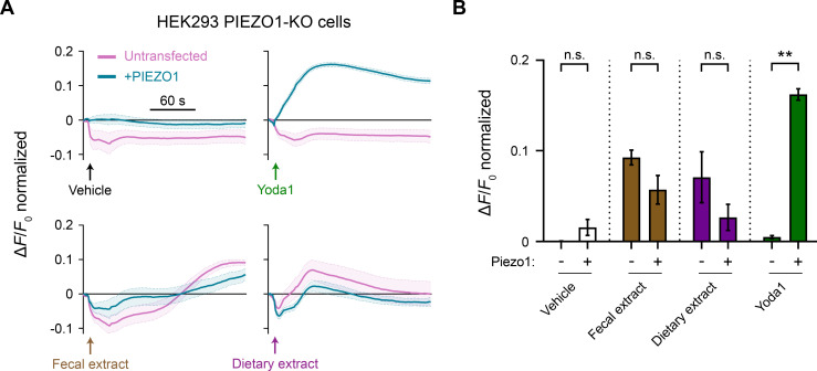 Figure 3—figure supplement 1.