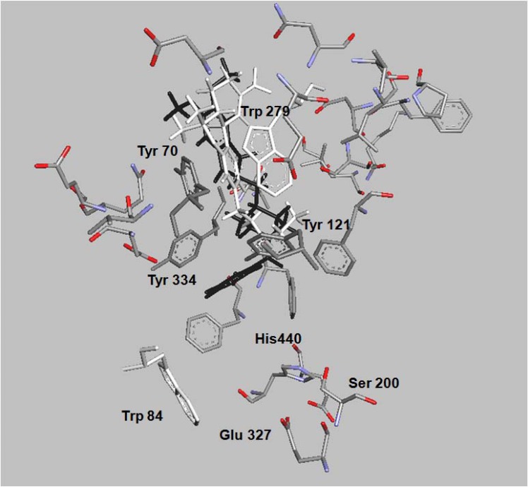 Fig. (2)