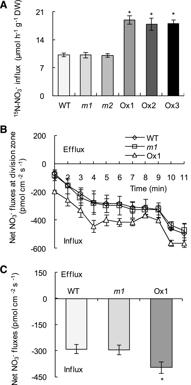 Figure 3.