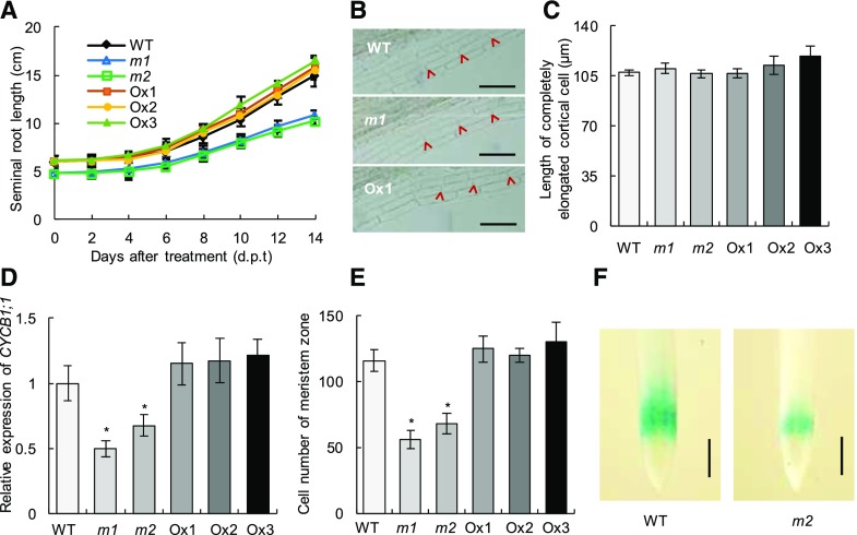 Figure 6.