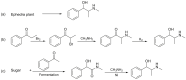 Fig. 10