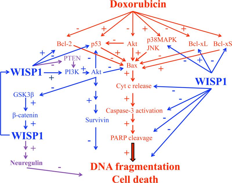 Fig. 11