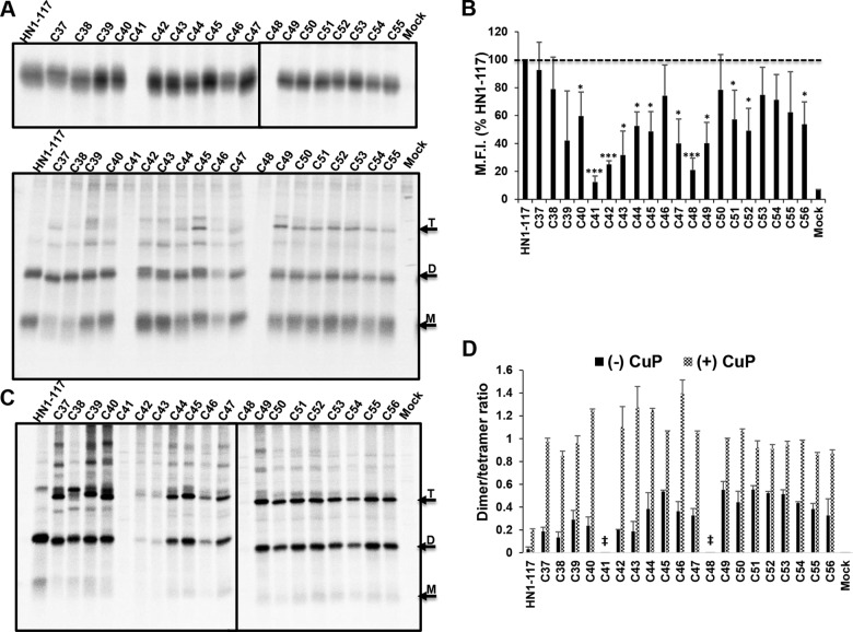 FIG 6