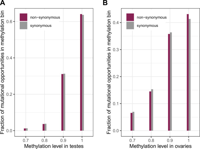 Figure 2—figure supplement 1.