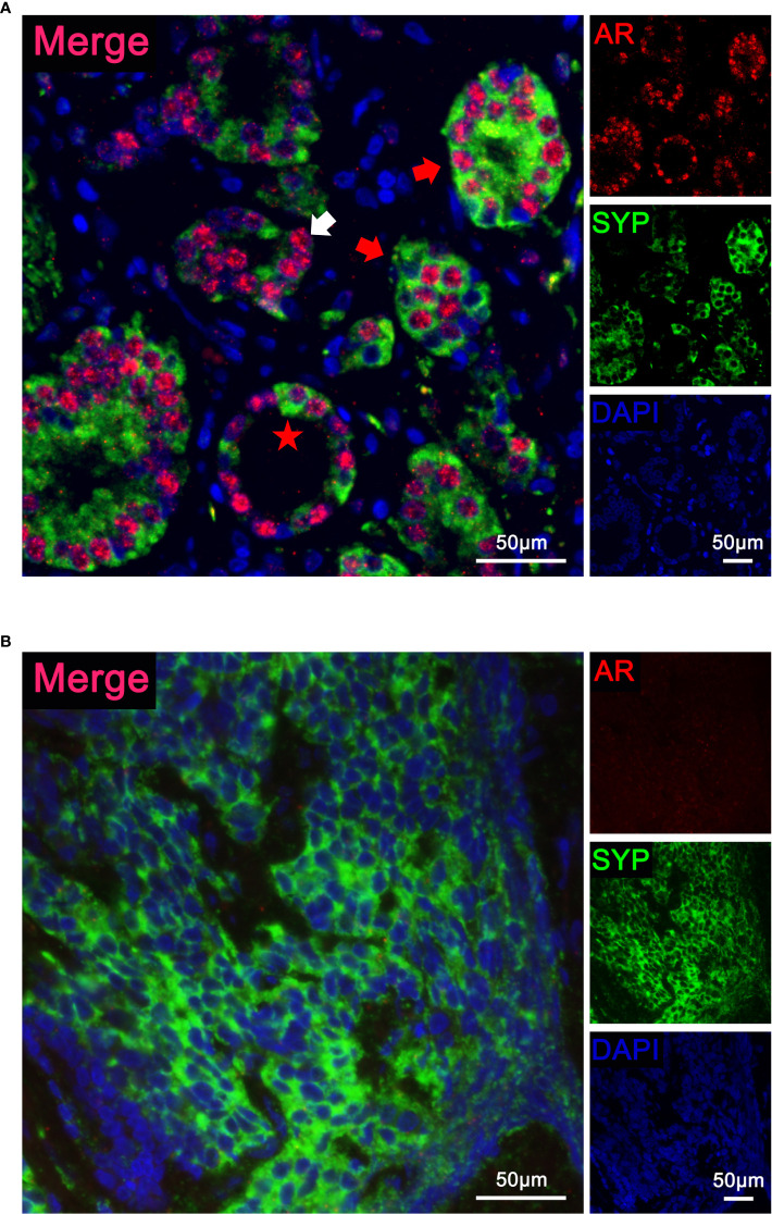 Figure 3