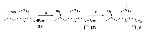 Scheme 6