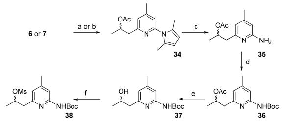 Scheme 5