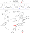 Scheme 7
