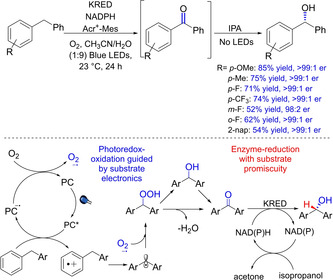 Scheme 52