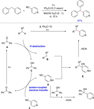 Scheme 46