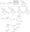 Scheme 28