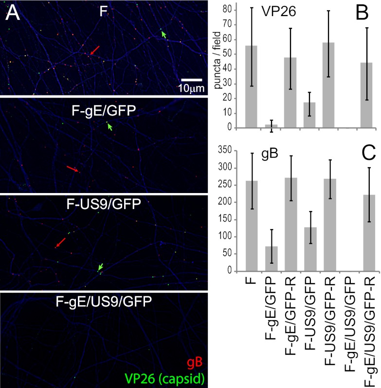 Fig 4