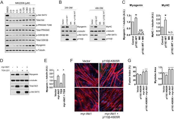 FIG 6