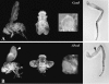 FIG. 7.