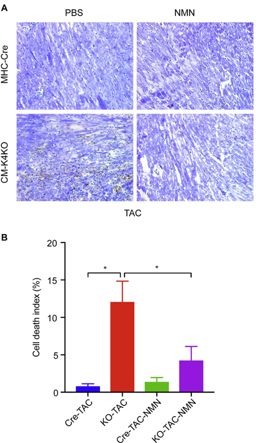 Fig. 7.