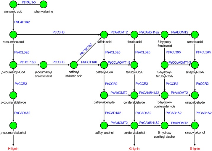 Fig 1