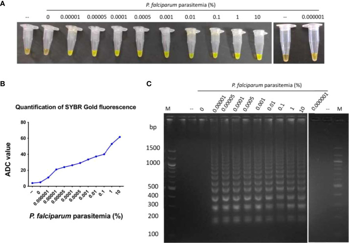 Figure 3