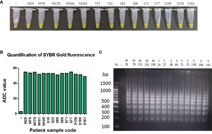 Figure 4