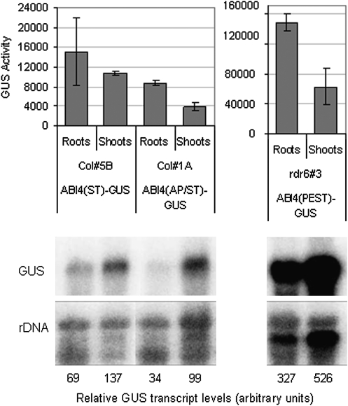 Fig. 7.