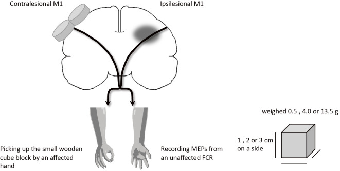 Figure 1.