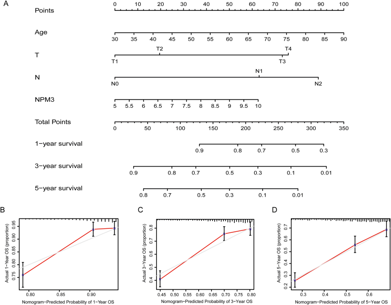 Figure 11