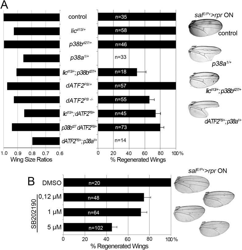 Fig 5