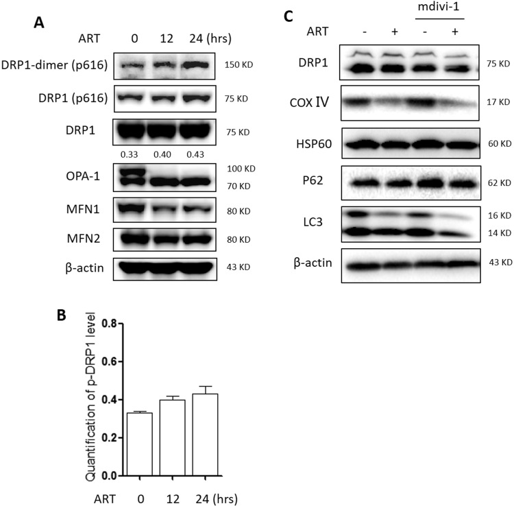 Fig. S5