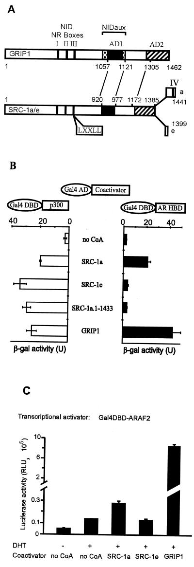 FIG. 1