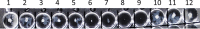 FIG 2