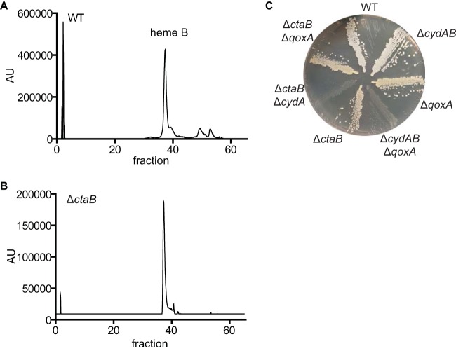 FIG 3 