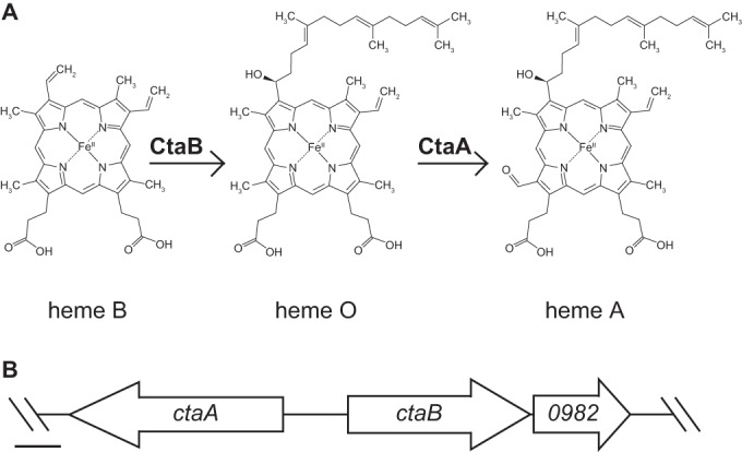 FIG 2 