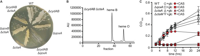 FIG 4 