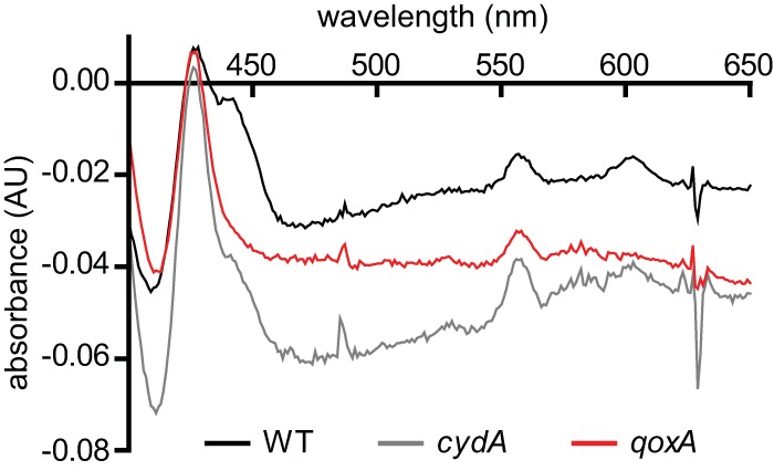 FIG 1 